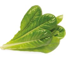 Click & Grow Smart Garden refill Romaine Lettuce 3pcs