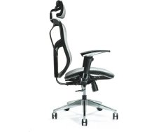 Bemondi Ergonomic office chair ERGO 500 grey