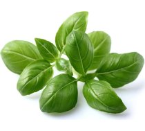 Click & Grow Smart Garden refill Basil 3pcs