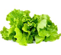Click & Grow Click and Grow - Smart Garden Refill 3-pack - Green Lettuce (SGR32X3)