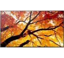 Sharp Display MultiSync M322 32-inch 24/7