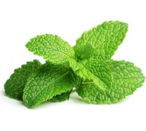 Click & Grow Click and Grow - Smart Garden Refill 3-pack - Peppermint (SGR22X3)