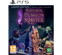 Microids Naheulbeuk’s Dungeon Master (Limited Edition)