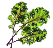 Click & Grow Smart Garden refill Red Kale 3pcs