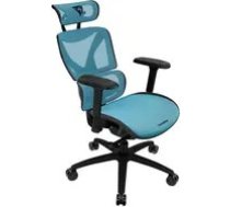 Thunderx3 XTC Ergonomic Office Chair - black/blue