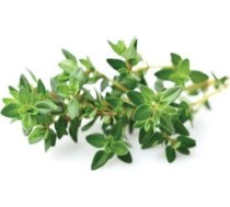 Click & Grow Click and Grow - Smart Garden Refill 3-pack - Thyme (SGR17X3)