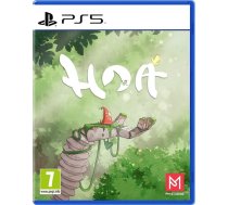 Numskull HOA