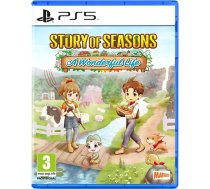 Marvelous Story of Seasons: A Wonderful Life