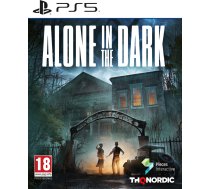THQ Alone in the Dark