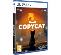 Tesura Games Copycat