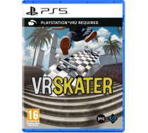 Perp Games VR Skater
