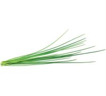 Click & Grow Click and Grow - Smart Garden Refill 3-pack - Chives (SGR38X3)