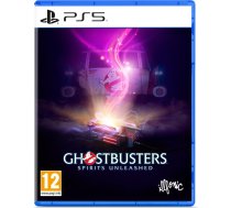 Nighthawk Interactive Ghostbusters: Spirits Unleashed PS5