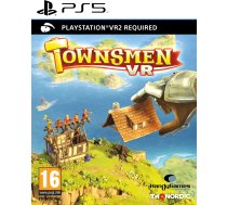 THQ Townsmen VR
