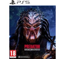 Games Predator Hunting Grounds PS5