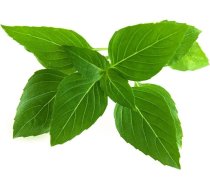 Click & Grow Click and Grow - Smart Garden Refill 3-pack Thai Basil