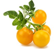 Click & Grow Click and Grow - Smart Garden Refill 3-pack Yellow Tomato