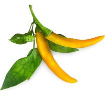 Click & Grow Smart Garden refill Yellow Chili 3pcs