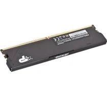 Patriot Memory Patriot Premium Black DDR5 12GB 5600MHz Radiator 1Rank