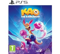 Atari Kao the Kangaroo