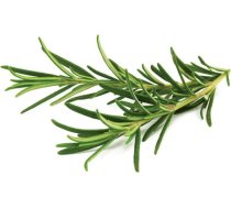 Click & Grow Click and Grow - Smart Garden Refill 3-pack - Rosemary (SGR51X3)