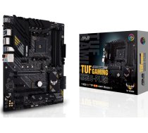 Asus TUF GAMING B550-PLUS