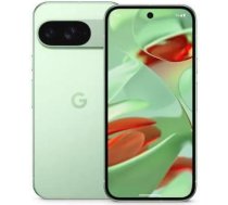 Google Pixel 9 16 cm (6.3"), 12 GB, 128 GB, 50 MP, Android 14, Wintergreen GA05840-GB