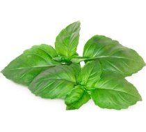 Click & Grow Smart Garden refill Marseille Basil 3pcs SGR99X3