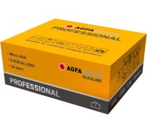 Agfa Photo AGFAPHOTO Professional Micro AAA Battery Alkaline 1.5V (10-Pack) 110-853468