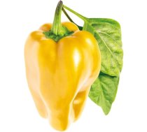 Click & Grow gudrā augu dārza uzpilde Dzeltenā saldā paprika 3gb. SGR53X3