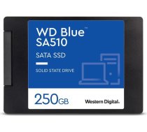 Western Digital SSD|WESTERN DIGITAL|Blue SA510|250GB|SATA 3.0|Write speed 440 MBytes/sec|Read speed 555 MBytes/sec|2,5"|TBW 100 TB|MTBF 1750000 hours|WDS250G3B0A