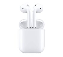 Apple AirPods 2 with Charging Case 190199098428