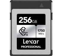 Lexar memory card CFexpress Type B 256GB Professional Silver LCXEXSL256G-RNENG