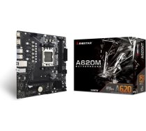 Biostar A620MT motherboard