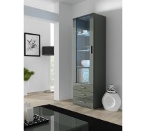 Cama Meble Cama display cabinet SOHO S1 grey/grey gloss SOHOWITS1 SZ/SZ