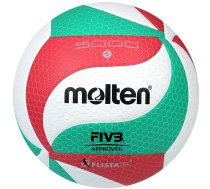 Zāles volejbola bumba /Ball Molten V5M5000 Flistatec / 5 / Balta