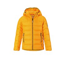 Bērnu ziemas jaka Reima Petteri 531343-2440