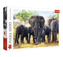 Puzzle - "1000" - African elephants / 500 px Trefl 10442