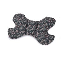 Bambusa spilvens Butterfly Habanera 5903815629679