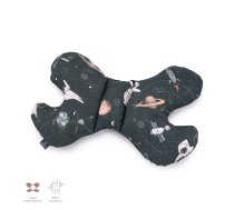Bambusa spilvens Butterfly Stardust 5903815625923