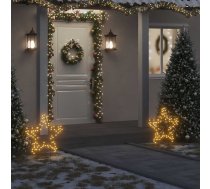 Ziemassvētku Gaismas Dekors, Zvaigznes Forma, 80 Led, 60 Cm Vidaxl 8721012118249