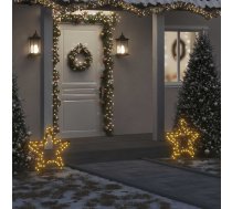 Ziemassvētku Gaismas Dekors, Zvaigznes Forma, 80 Led, 60 Cm Vidaxl 8721012118331