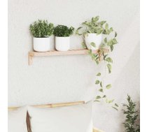 Sienas Plaukts 62X10X12,5 Cm Cieta Koksne Valnē Vidaxl 8721288491015
