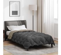 Ziemas Gultas Sega Gaiši Pelēks Un Antracīts 200 X 135 Cm Vidaxl 8721364406261