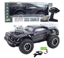 Large Off-Road Remote Controlled RC Sports Car Black 1:8 5905991072928