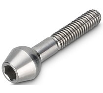 Sēdekļa turētāja skrūve NEWMEN Hex Titanium M6x30 TL10.5