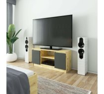 TV tumba RTV 2D1P Platums: 120 cm, Korpusa krāsa: ozols artisan, Dziļums: 40 cm, Augstums: 55 cm, Virsma: matēta, Forma: Taisnstūra, Elementu krāsa: pelēks, Materiāls: LKSP + finieris