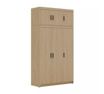 Skapis Elena 3D Premium Platums: 133 cm, Dziļums: 53 cm, Augstums: 245.5 cm, Izgatavošanas materiāls: laminēta KSP, Virsma: Matēta, Durvju skaits: 6, Ar spoguli: nē, ar plauktiem: 1, Krāsa: ozols