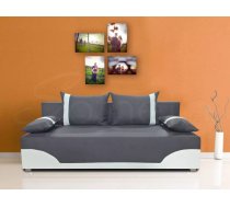 Dīvāns Tunis Sofa standard Dziļums: 88 cm, Guļamvietas platums: 130 cm, Platums: 195 cm, Augstums: 90 cm, Sēdvietas augstums: 40 cm, Guļamvietas garums: 195 cm, Pildījums: Bonell + poliuretāna putas (porolons), Apdare: audums + eko āda, Dīvāna tips: taisni dīvāni, Ar veļas kasti: 1, izvelkamie: 1, Auduma numurs: Neo 31 + Dolaro 511, Izvilkšanas mehānisms: Automāts DL, Krāsa: pelēks + balts