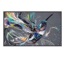 Philips 55BDL3650Q Q-Line - 55" Class (54.6" viewable) LED-backlit LCD display - 4K - for digital signage 55BDL3650Q/00